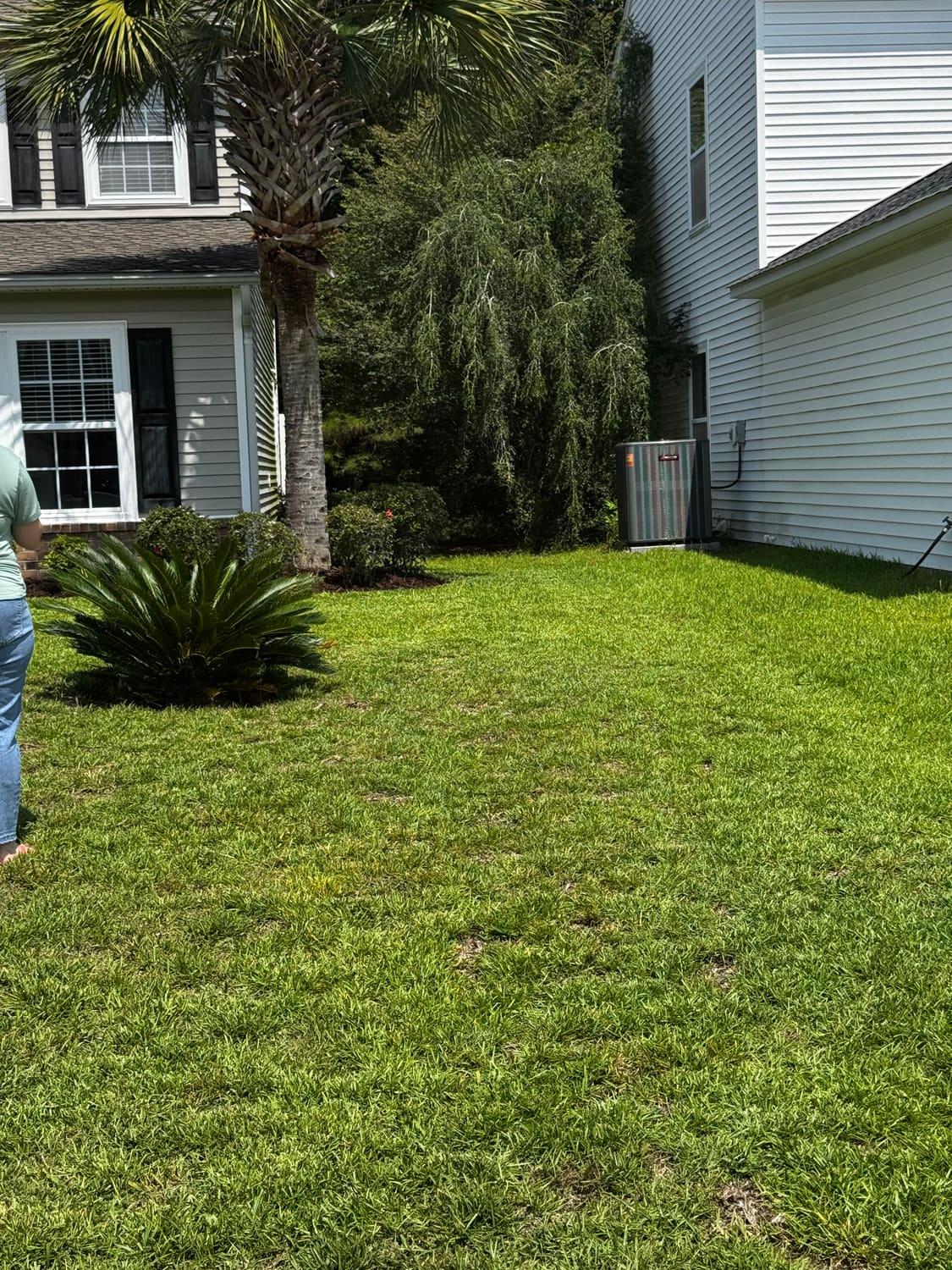 Striped, freshly cut lawn beside a Grand Strand home